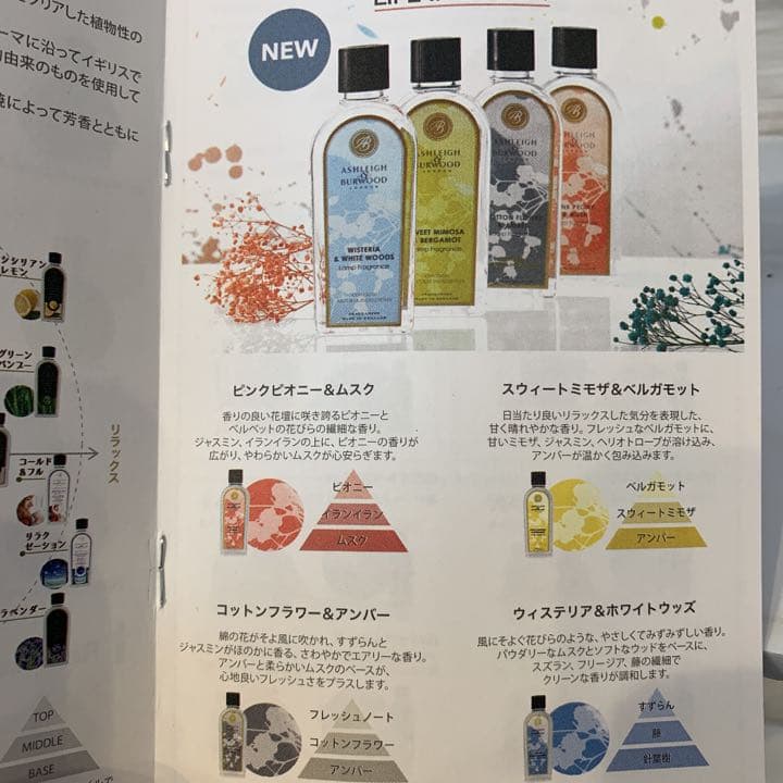 アシュレイ＆バーウッド　アラジンズケーブS.オイルセット