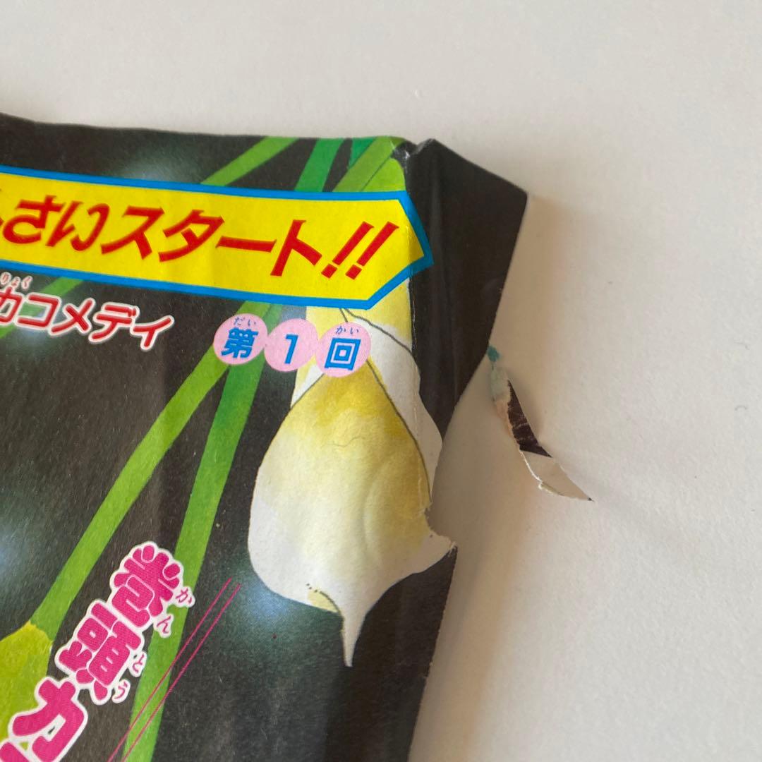 ときめきトゥナイト　りぼん　切り抜き