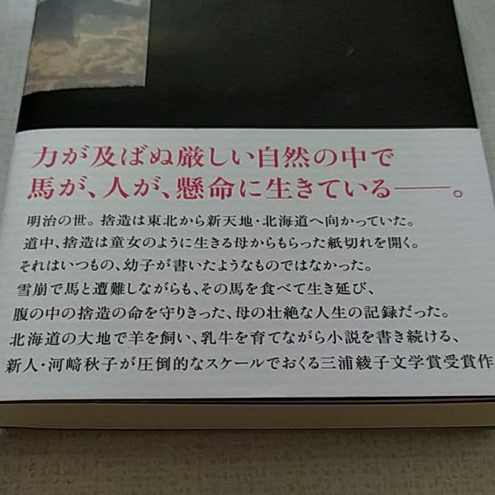 bonkura様 おまとめ 颶風の王　Sold