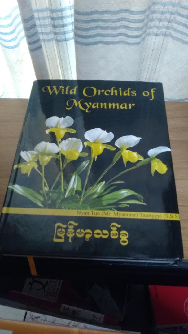 期間限定お値下げ！激レア！　Wild Orchids of Myanmar