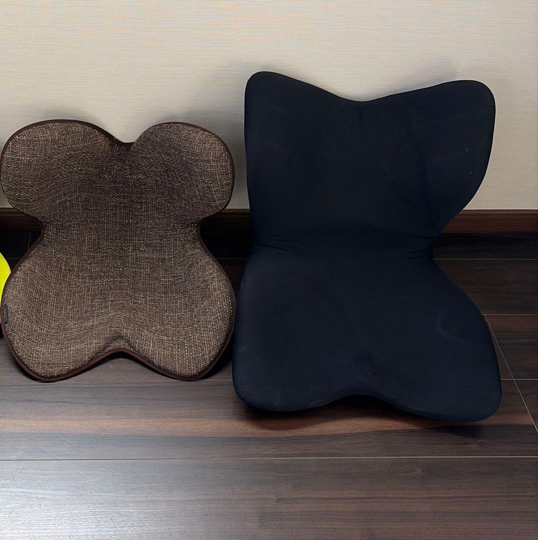 style 骨盤・姿勢矯正クッション 2点セット プレミアム