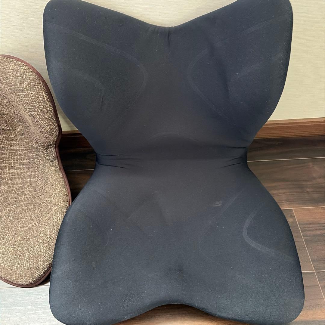 style 骨盤・姿勢矯正クッション 2点セット プレミアム