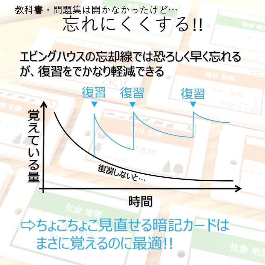 中学受験 暗記カード【4年上 社会 全セット 社会 1-19回】組分けテスト対策