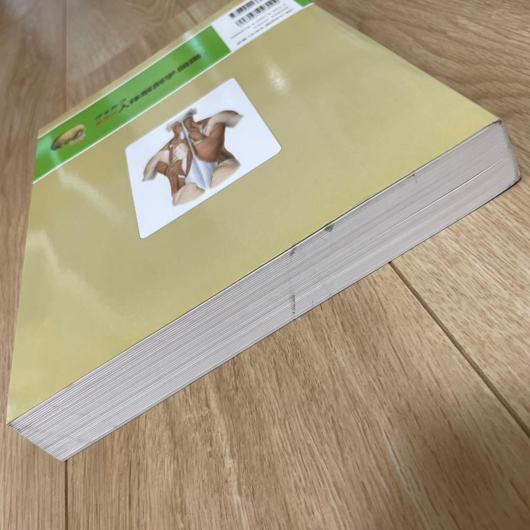 Anatomy 解剖学カラ―アトラス 第8版・ヴォルフ カラー 人体解剖学図譜