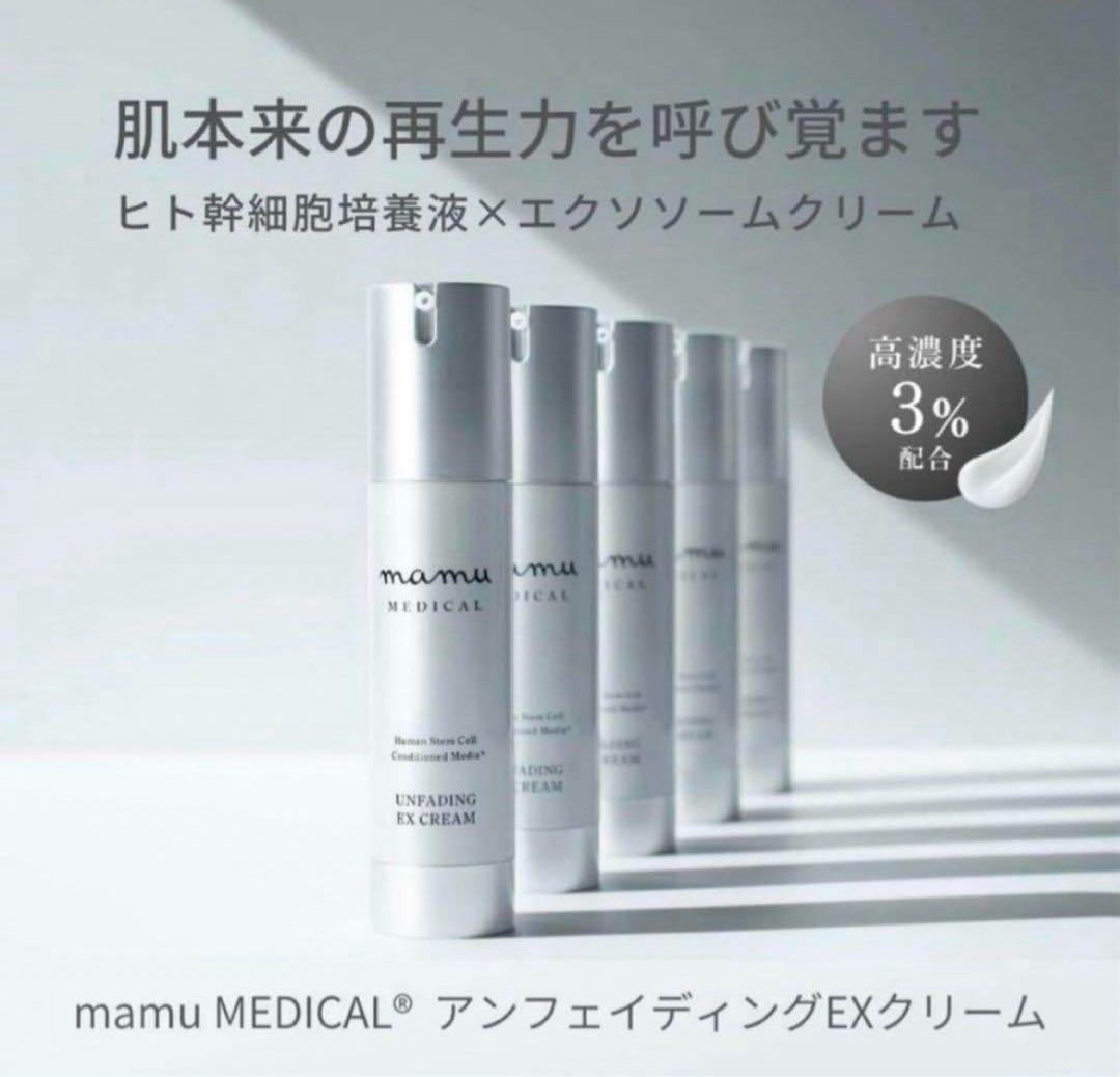 アンフェイディングEXクリーム　在庫2本まとめ買い