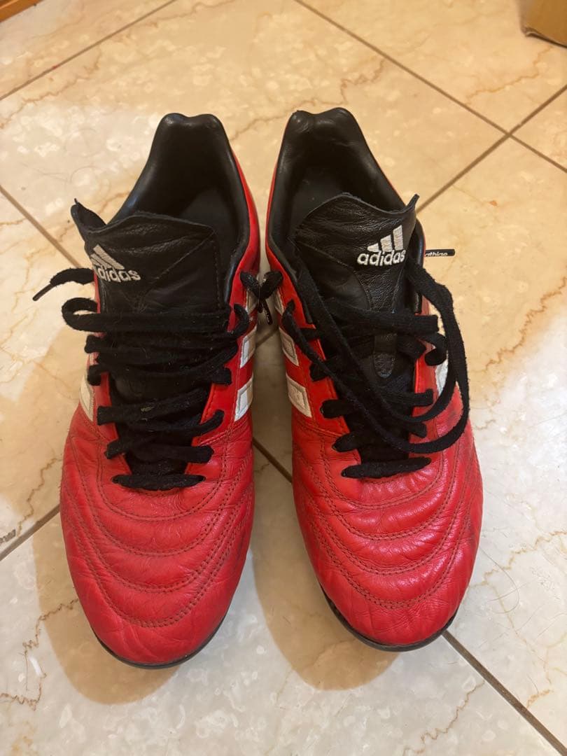 パティーク　グローロ