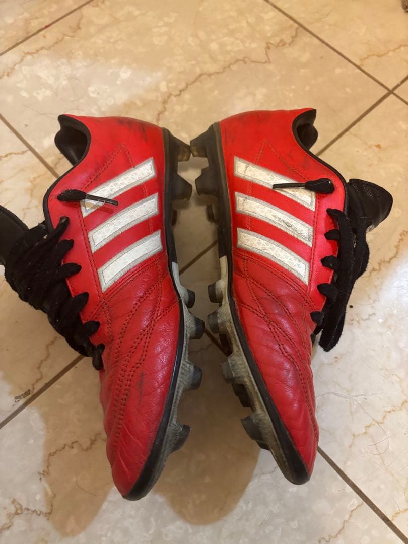 パティーク　グローロ