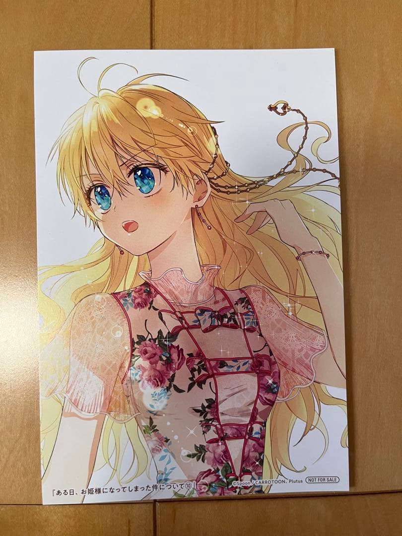 ある日、お姫様になってしまった件について 1~12巻