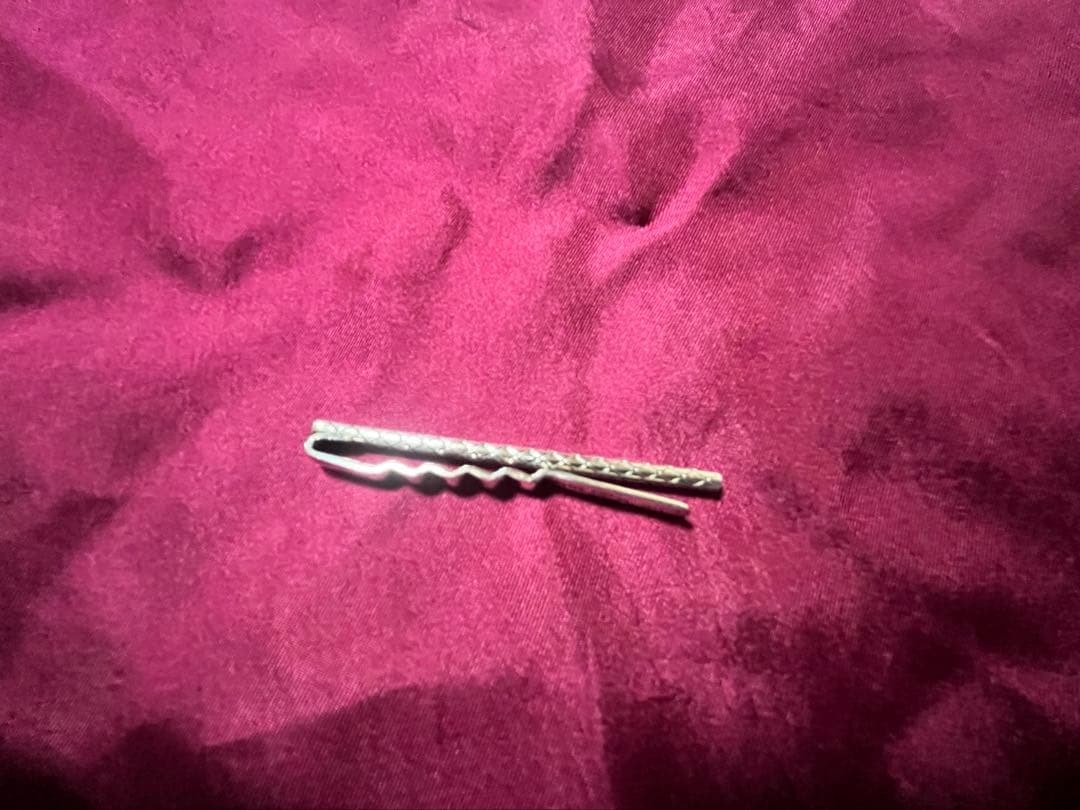 ボッテガべネタ ネクタイピン SV925