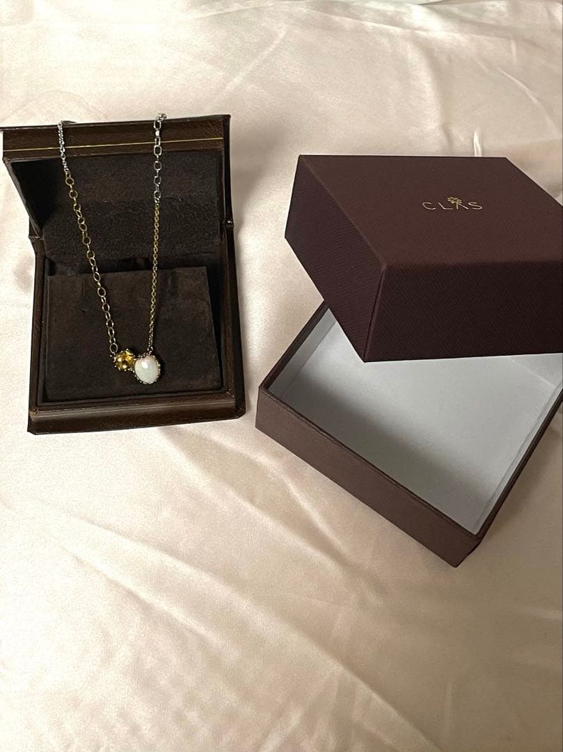 【雪村さん専用】CLAS チェーンネックレス