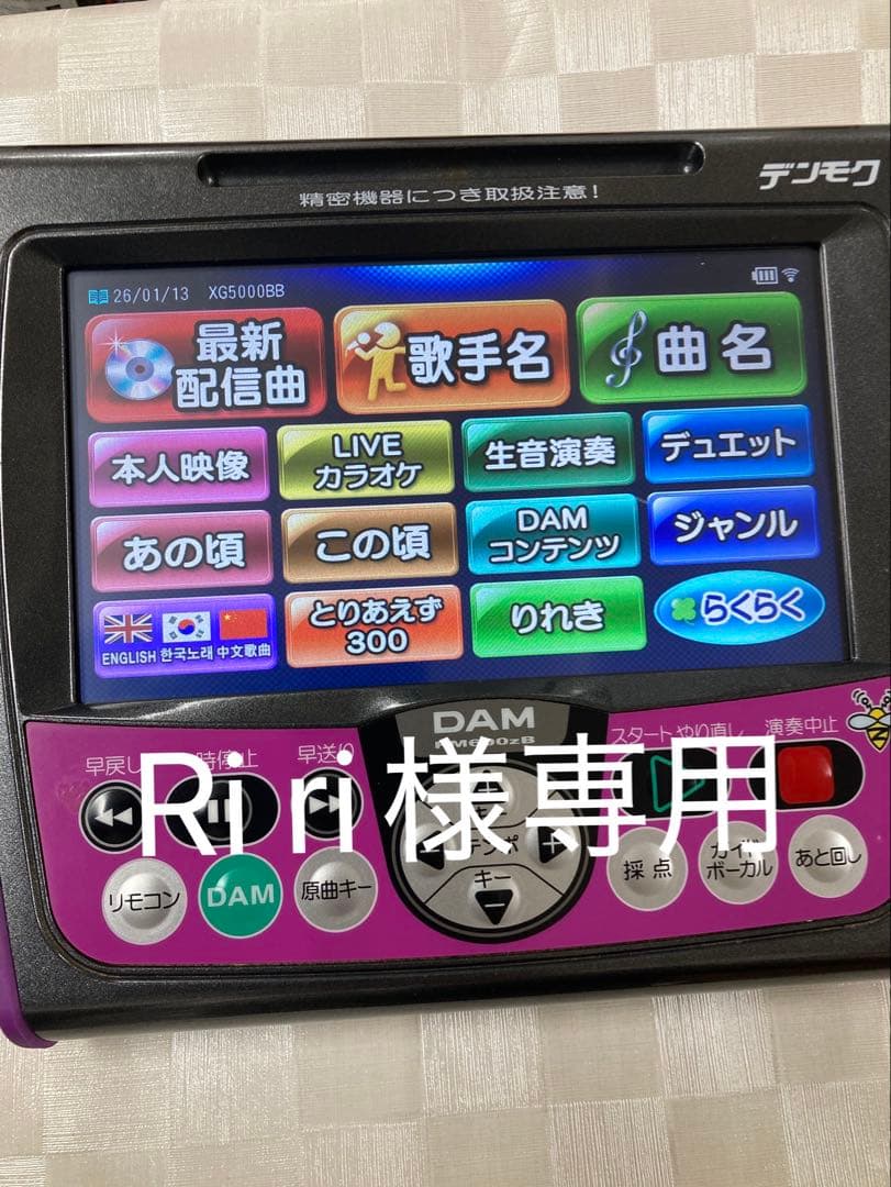 DAMデンモクPM600ZB