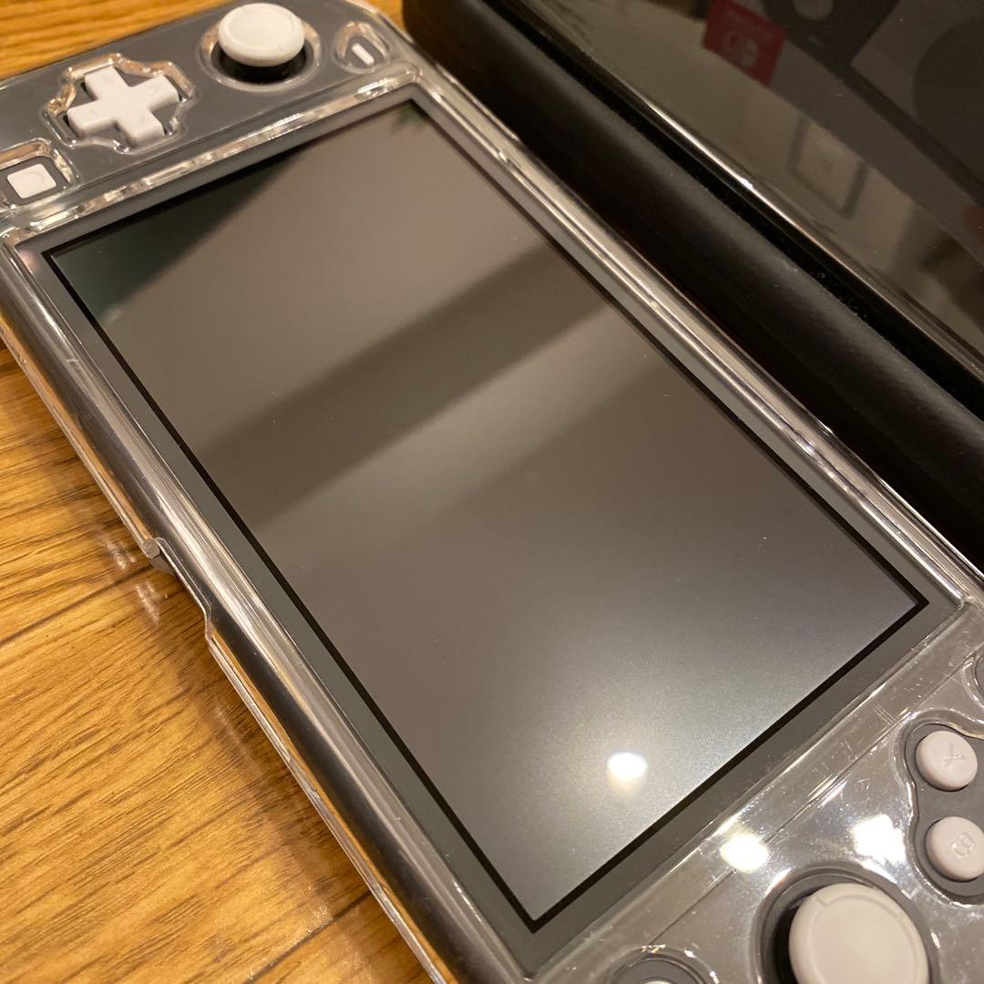 Nintendo Switch Lite 本体 ケース付(極美品)