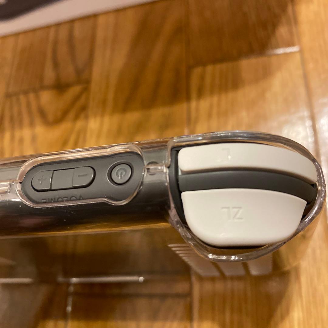 Nintendo Switch Lite 本体 ケース付(極美品)