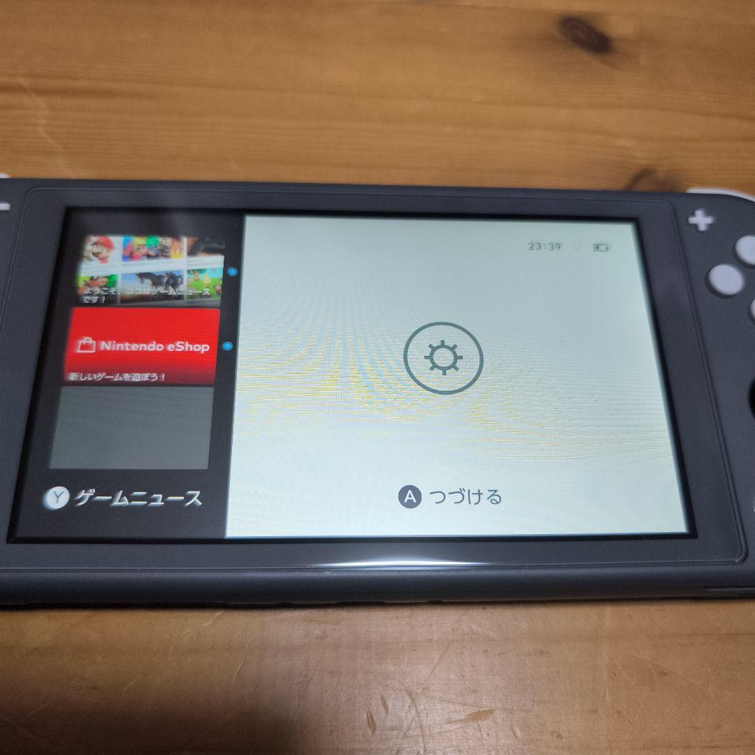 ウィッスキ～Nintendo Switch Lite グレー 本体