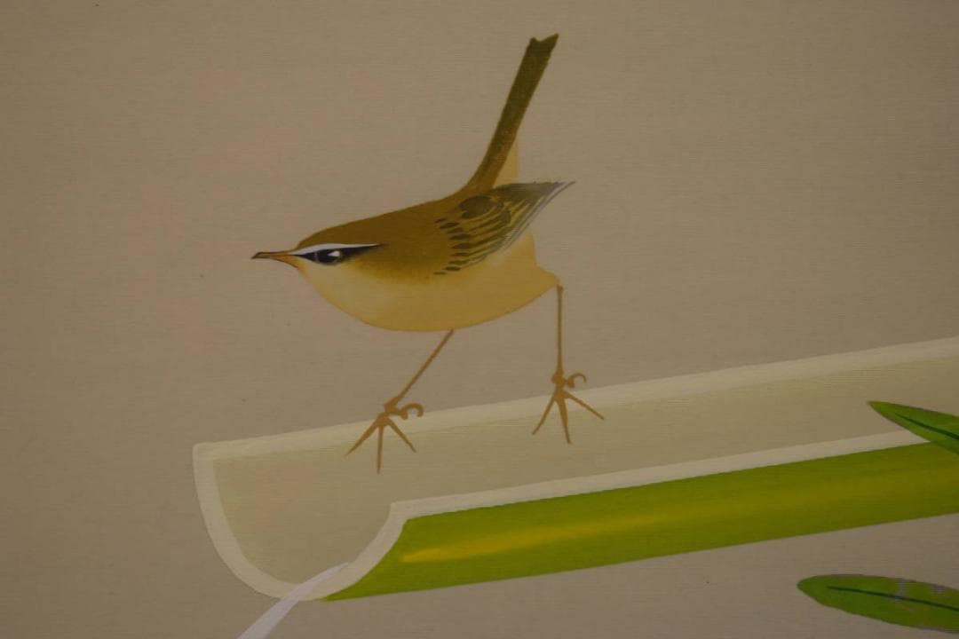 真作/清風/早春/小禽図/桐共箱付/布袋屋掛軸HI-807