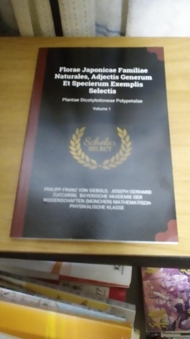 期間限定値下げ！早い者勝ち！　ＦＬＯＲＡＥ　ＪＡＰＯＮＩＣＡＥ　ＦＡＭＩＬＩＡＥ