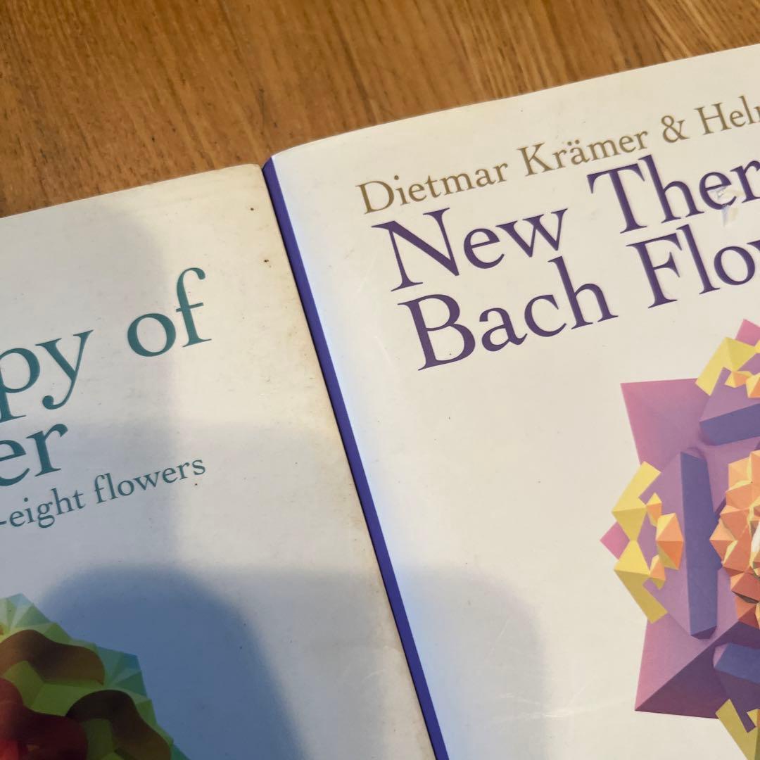 バッチフラワーニューセラピー1, 2 (ボディーマップ)