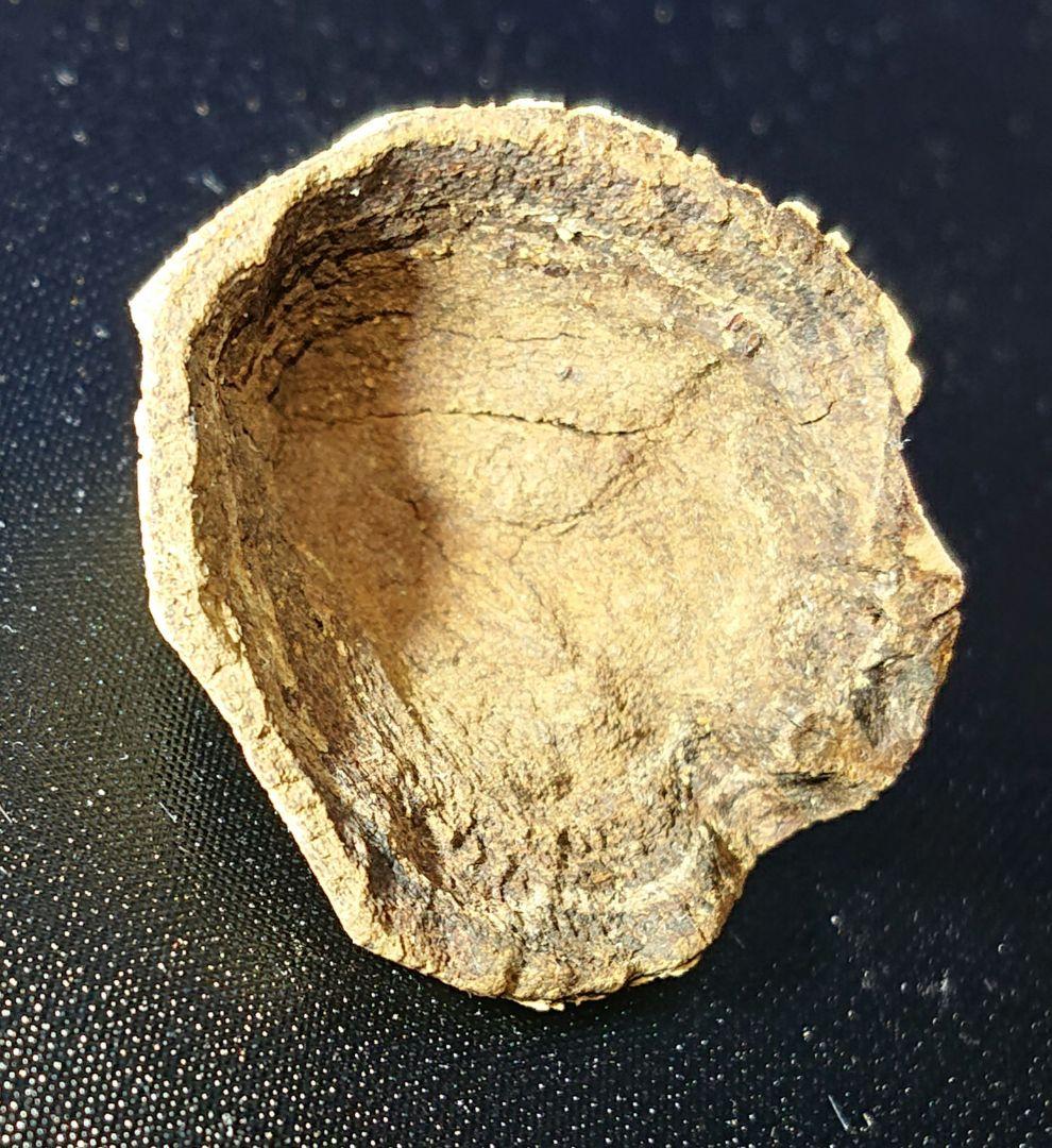 ベトナムフエ産 伽羅 沈水