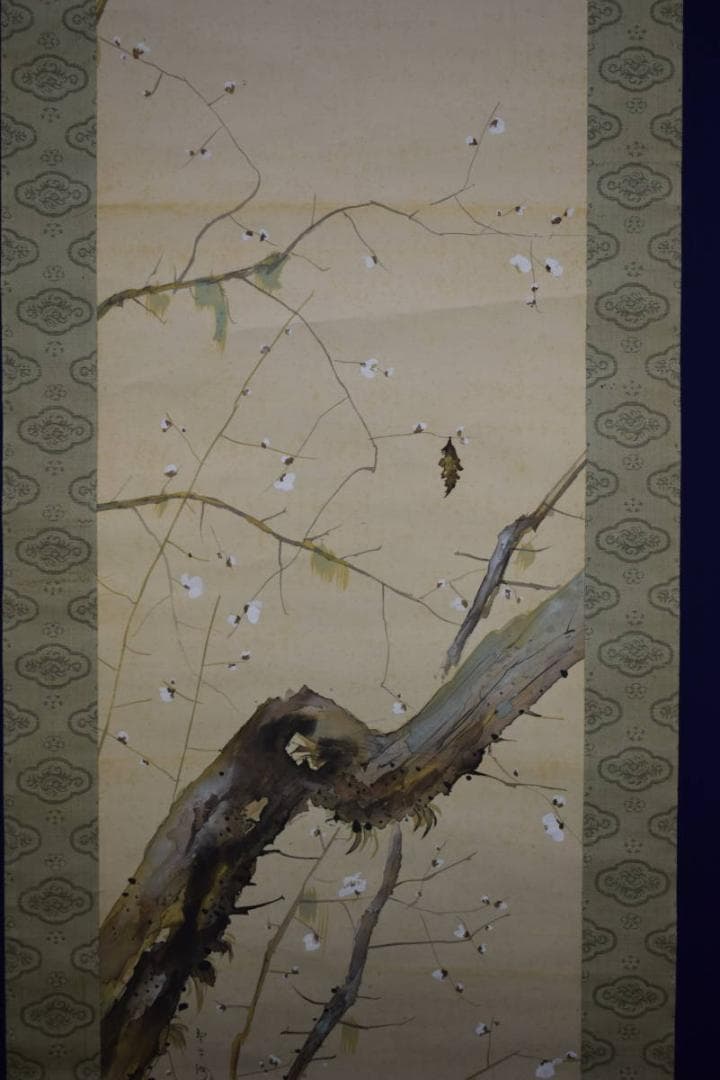 真作/北上聖牛/白梅蓑虫図/梅花ミノムシ図/布袋屋掛軸HI-400