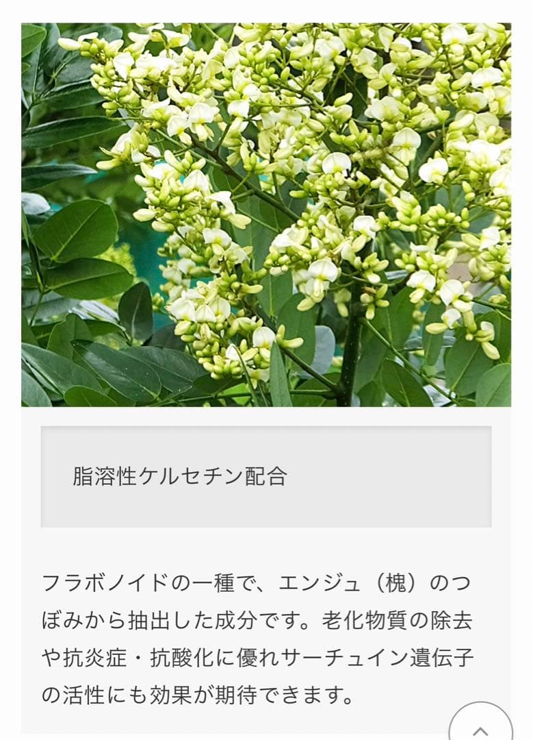 ブースター・導入液 NMN Sirtuin Booster 3000