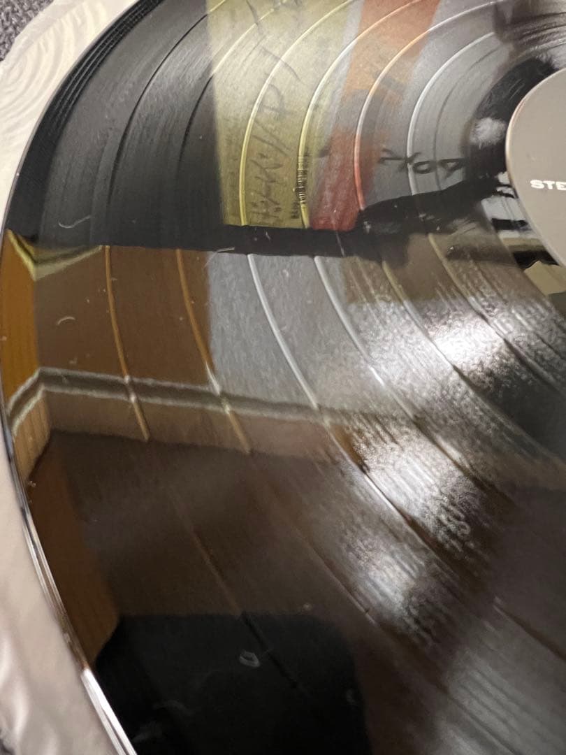 SONHOUSE – POISON LP 邦楽レコード1983 OBI NM