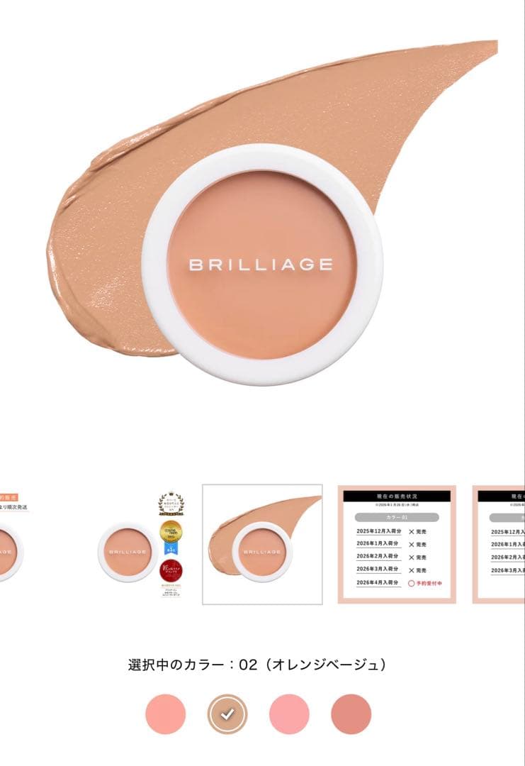 【新品未開封】ブリリアージュ カモフラージュコンシーラーチーク02番