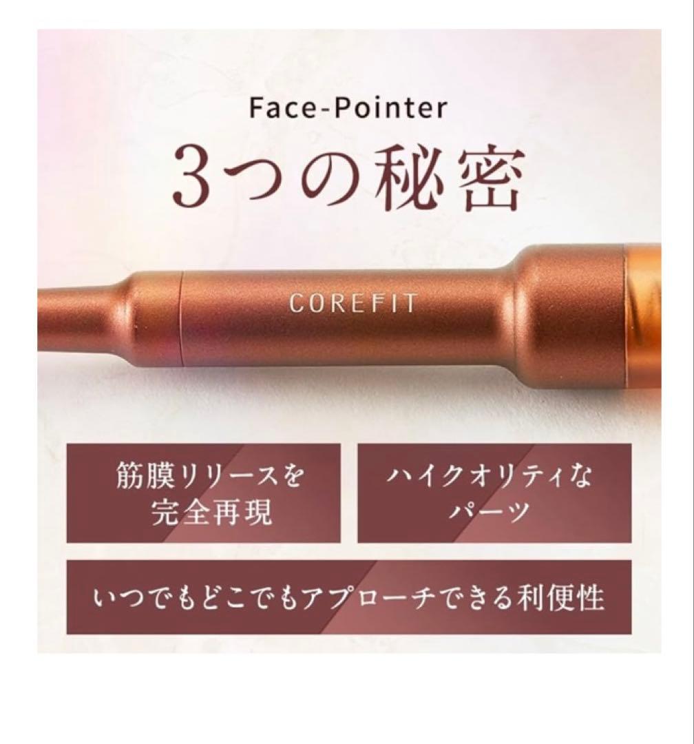 【説明書付き】フェイスポインター CORE FIT★おまけあり★