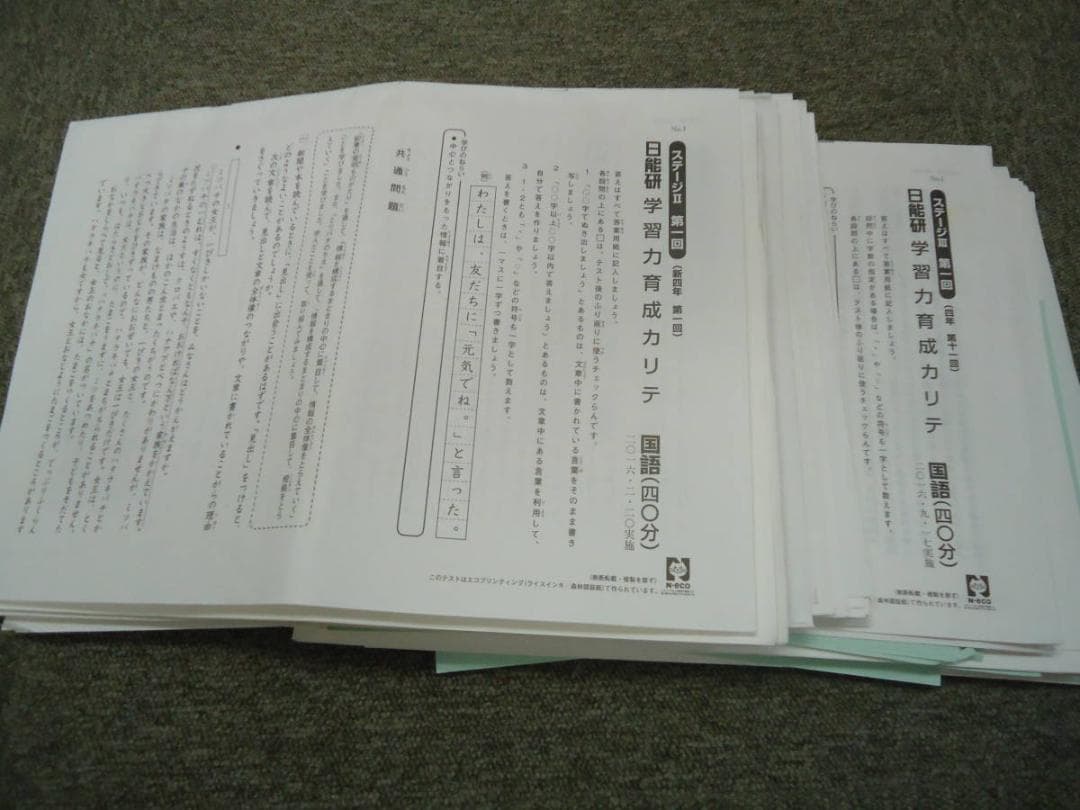 日能研　4年　小4　学習力育成カリテ19回（国算理社）　2016年版