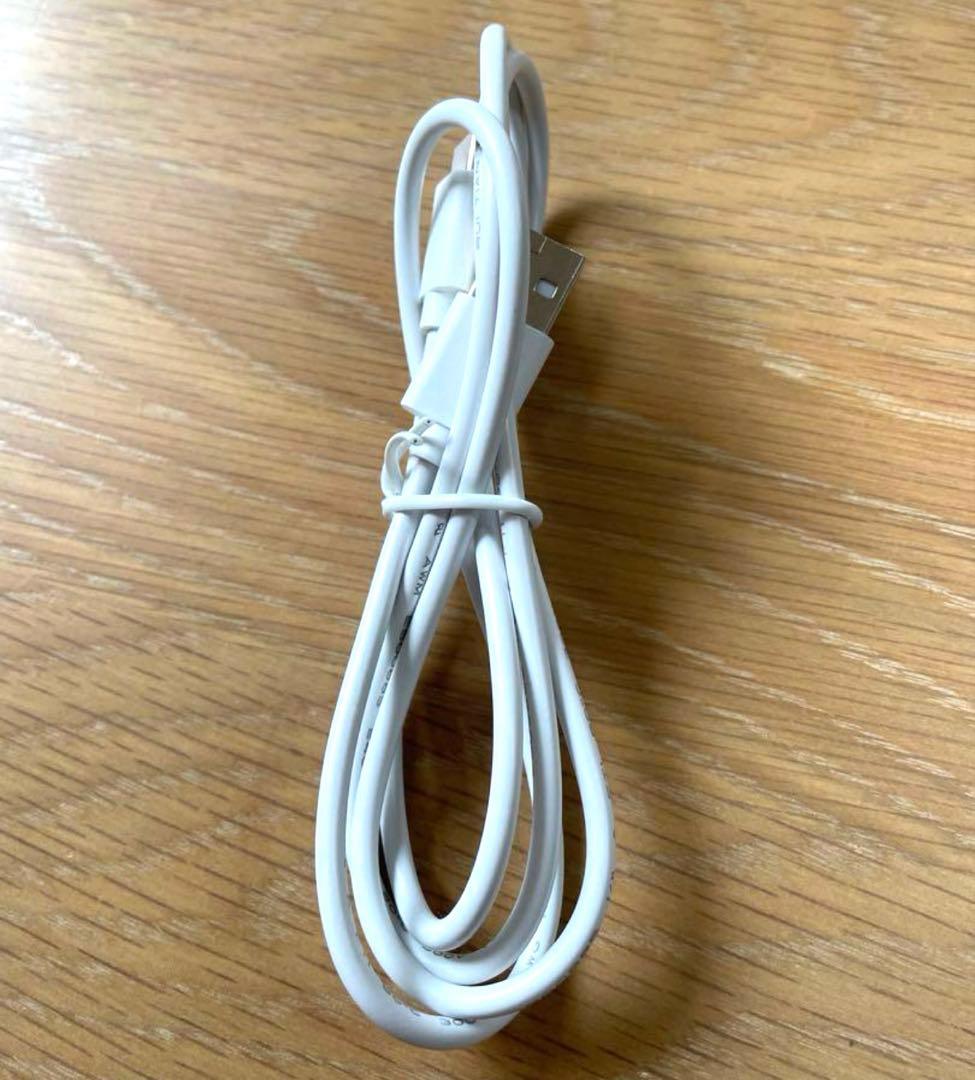 【美品】SALONIA EMSリフトブラシ SAL22805L