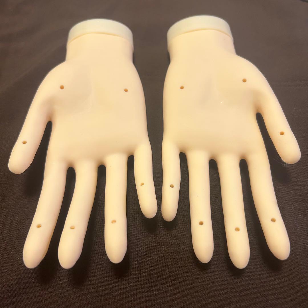 JNEC認定 モデルハンド