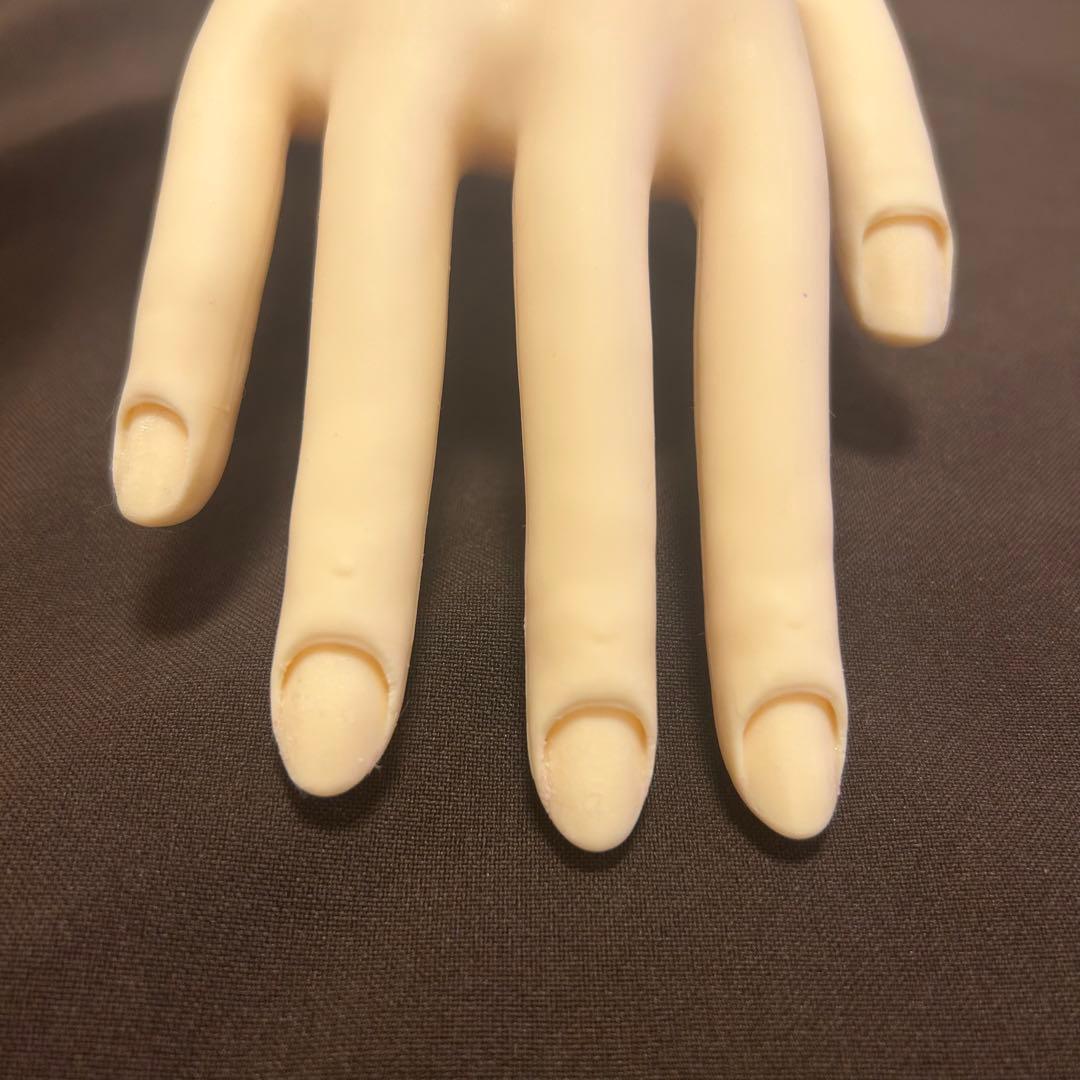 JNEC認定 モデルハンド