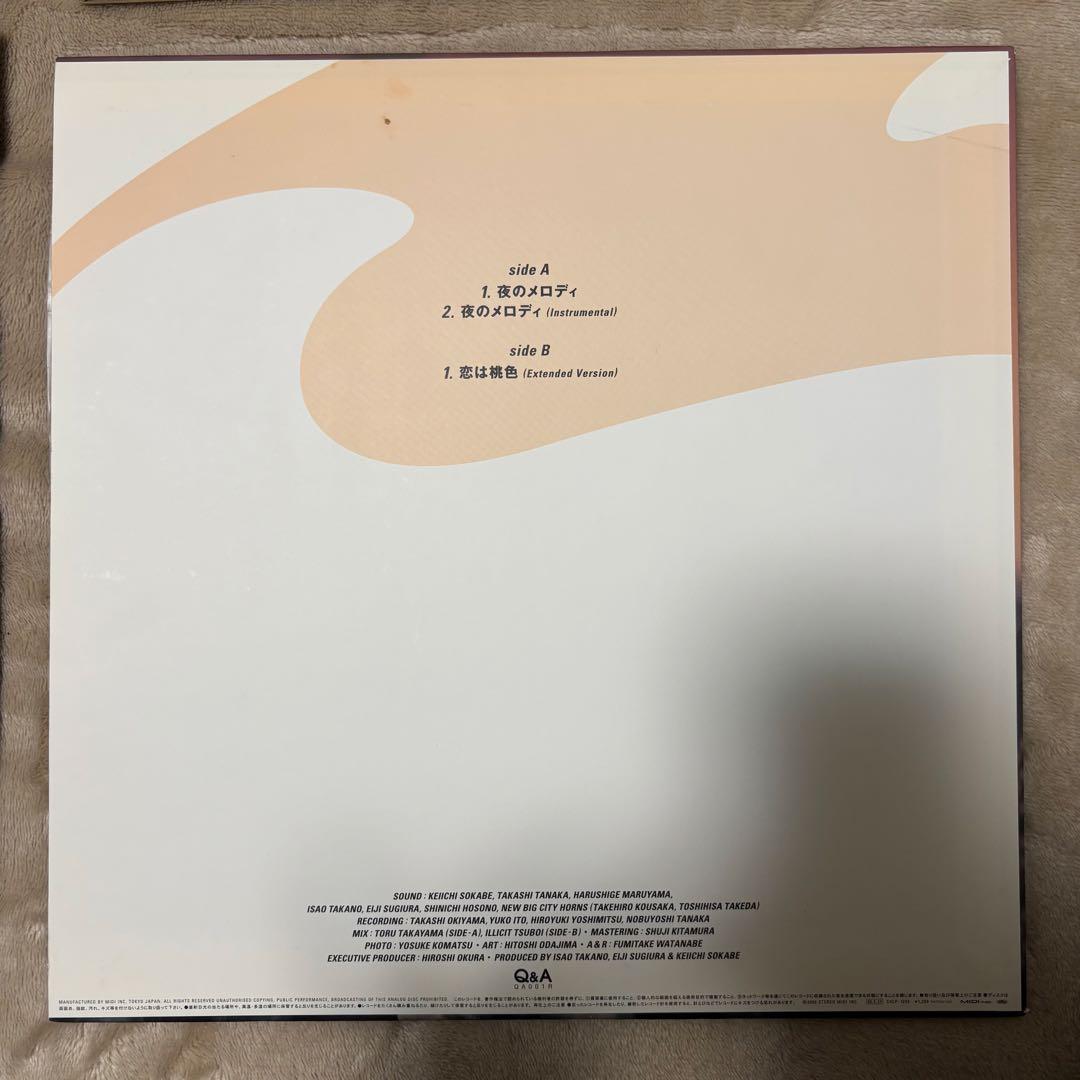 SUNNY DAY SERVICE / サニーデーサービス　LPレコードまとめ売