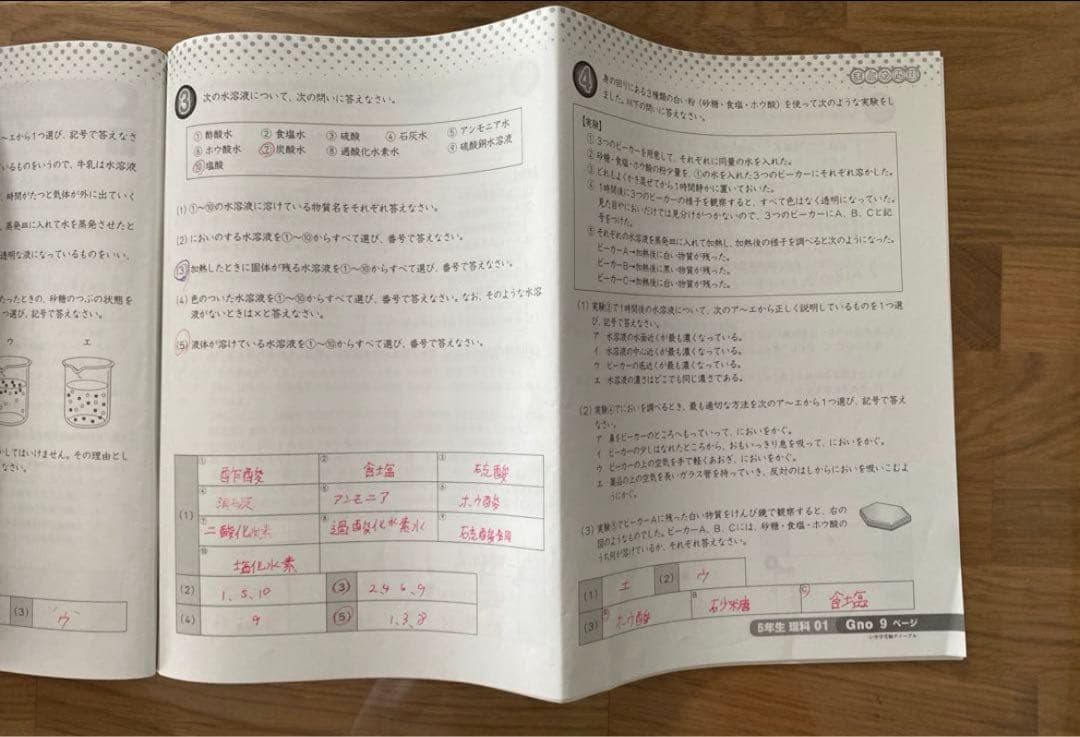 グノーブル 5年生理科 問題集