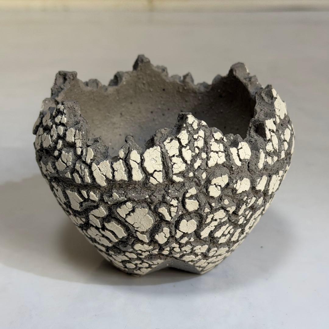 konect コネクト fang ファング 鉢