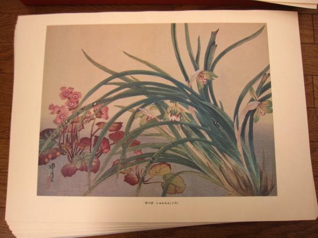 瑞月草花画譜　池田瑞月　限定700部
