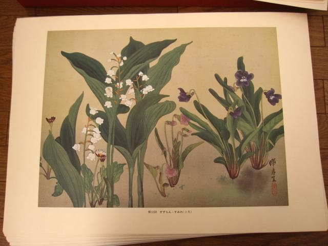 瑞月草花画譜　池田瑞月　限定700部