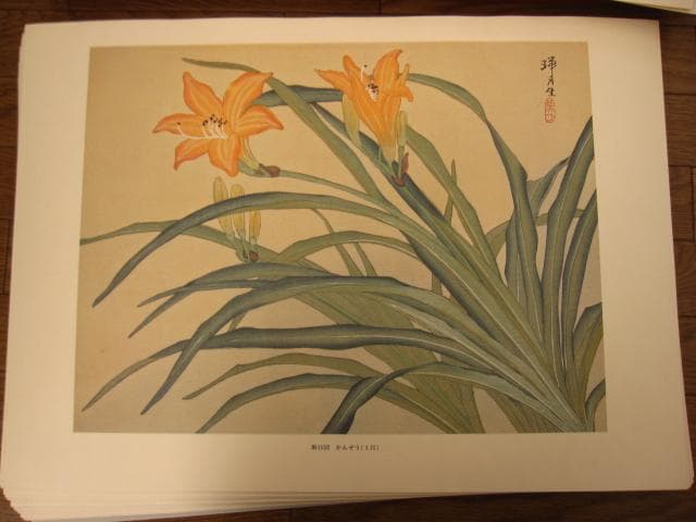 瑞月草花画譜　池田瑞月　限定700部