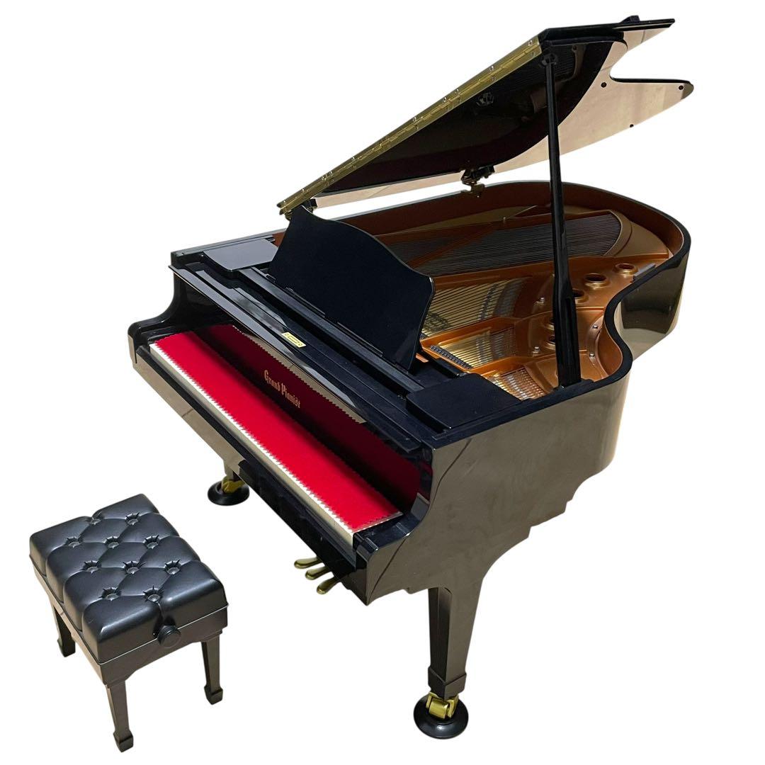 SEGATOYS グランドピアニスト 葉加瀬太郎さんのSDカード付属