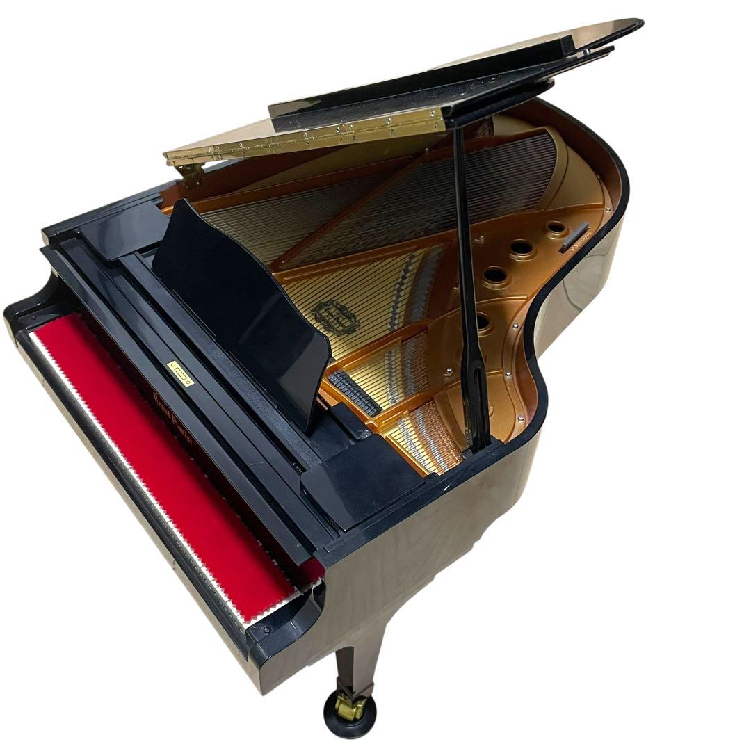 SEGATOYS グランドピアニスト 葉加瀬太郎さんのSDカード付属