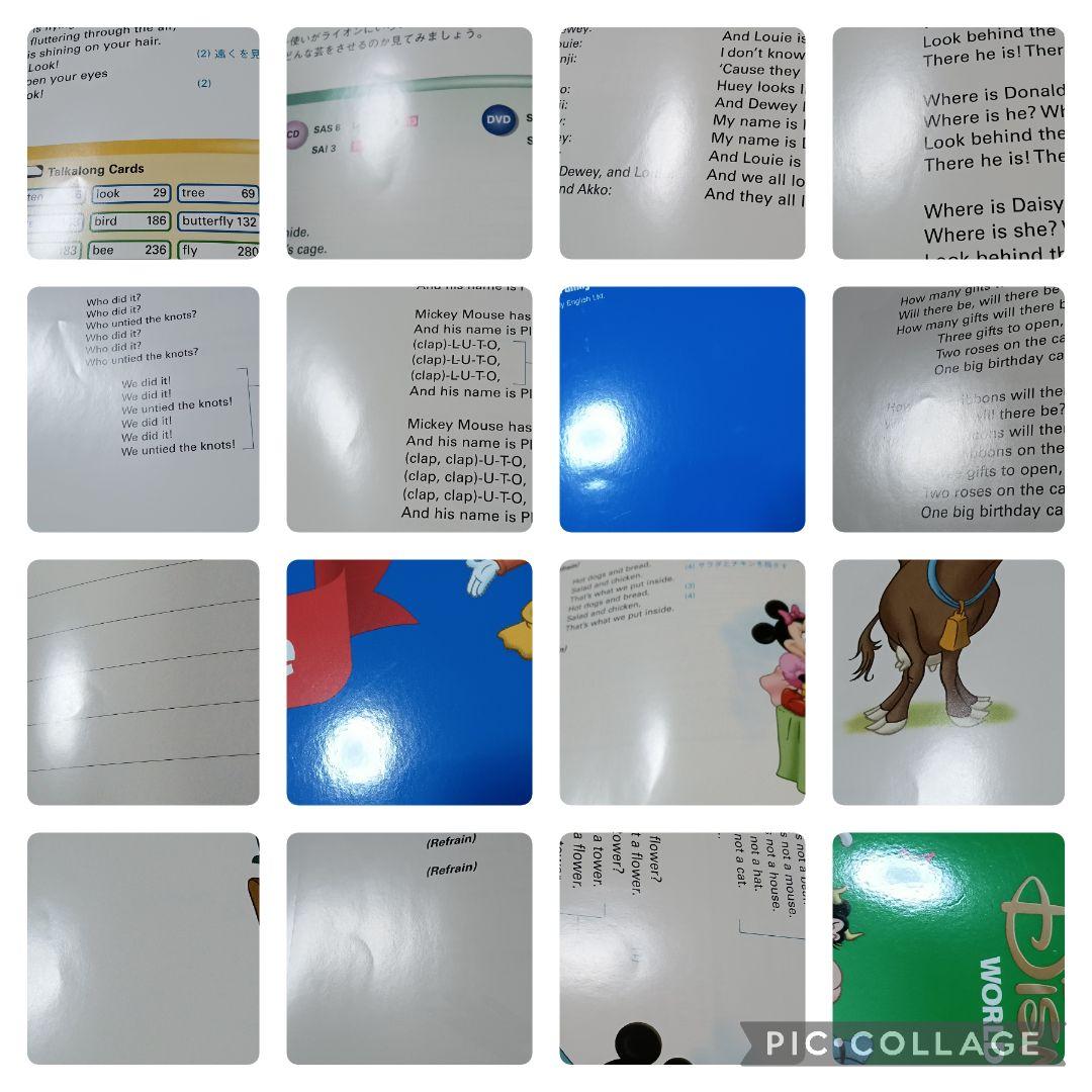 46‐⑧DWE ディズニー英語システム シングアロング