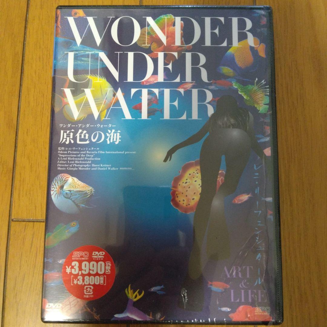 【廃盤・未開封】原色の海