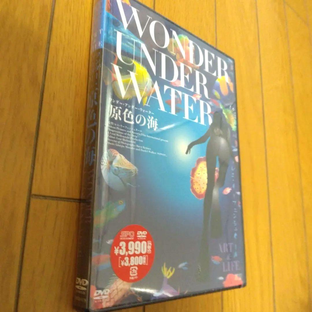 【廃盤・未開封】原色の海