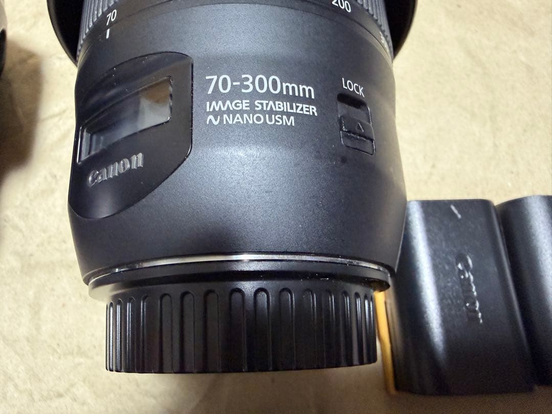 Canon デジタル一眼レフカメラ レンズ2本セット