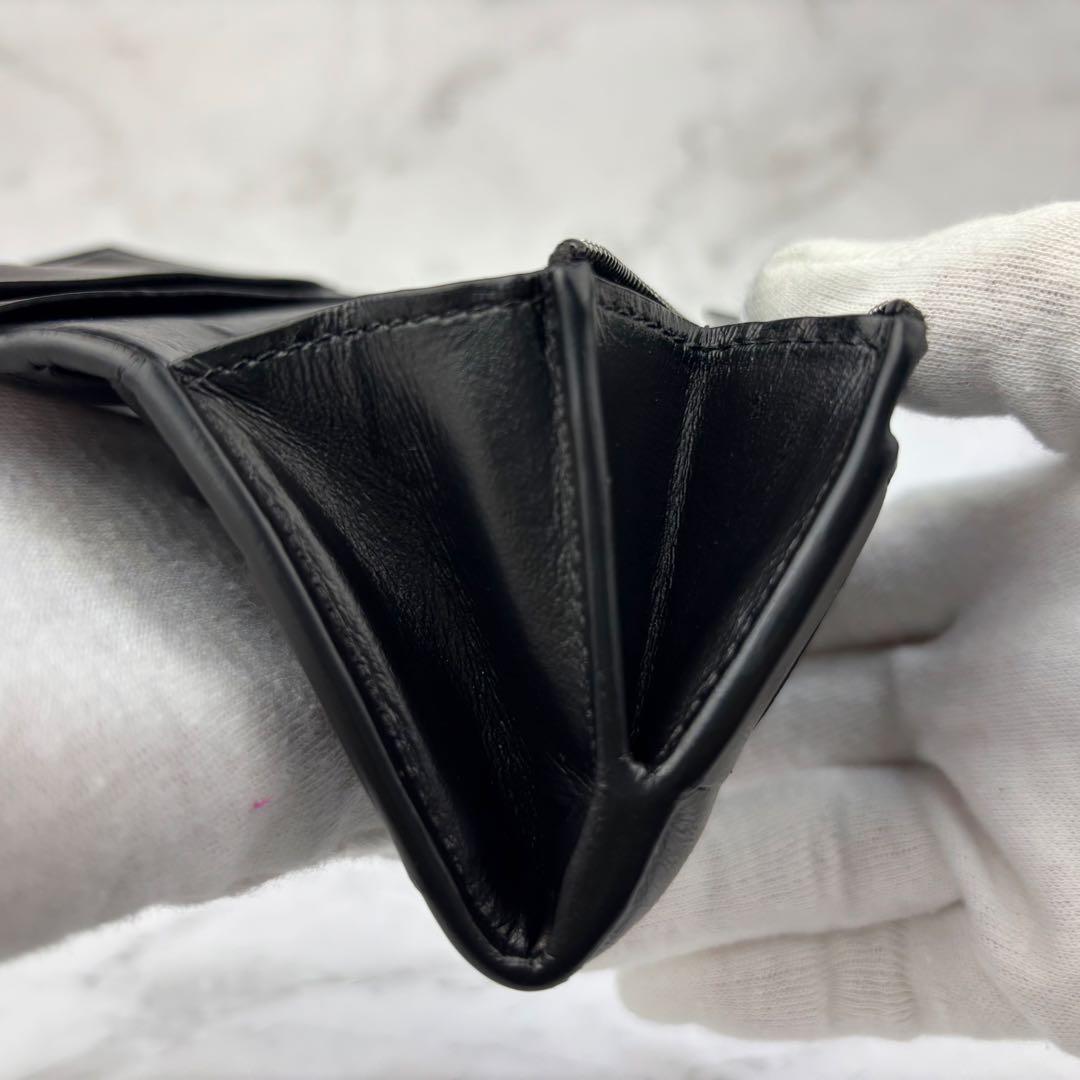 Bottega Veneta ボッテガヴェネタ　ガード　ケース　ジップ