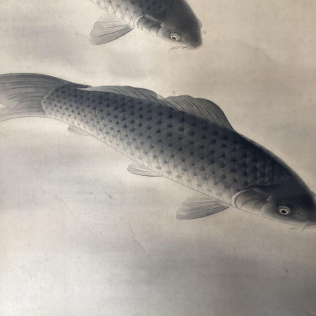 【新　樹　筆】　　絹本彩色画掛軸一幅　【　遊　鯉　図　】　共箱　軸先骨　476