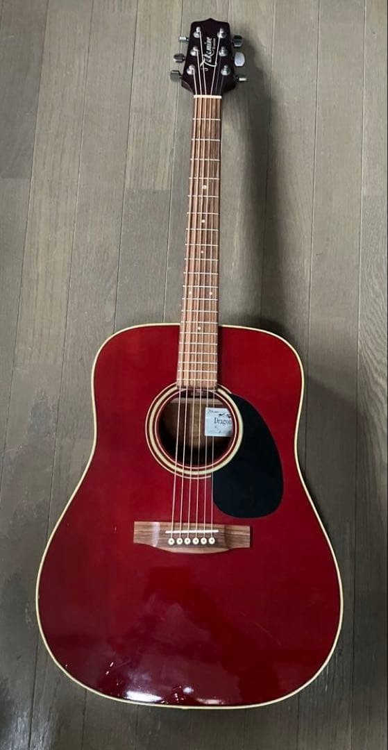 Takamine D21-WR DragonSeries アコースティックギター