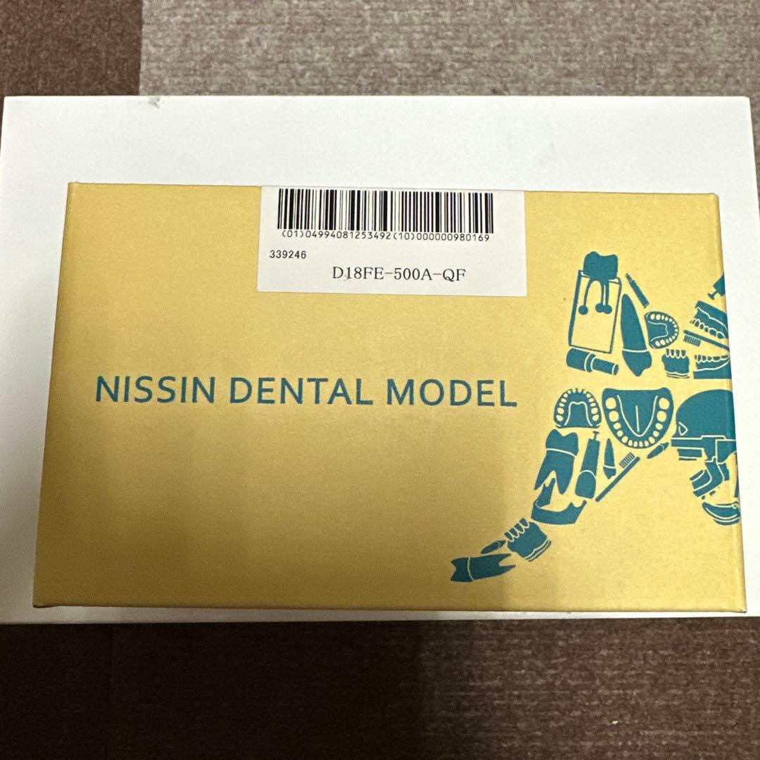 【新品未使用】NISSIN 歯科模型　ニッシンデンタルモデルD18FE-500A