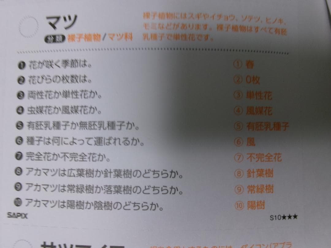 サピックス＊４年５年６年＊理科／生物（動物 植物）暗記カード・全８０枚完全版