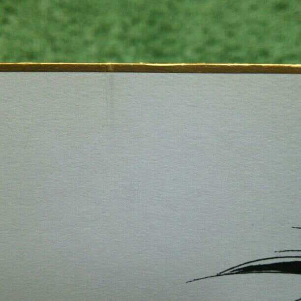 漫画   BLACK  CAT  サイン