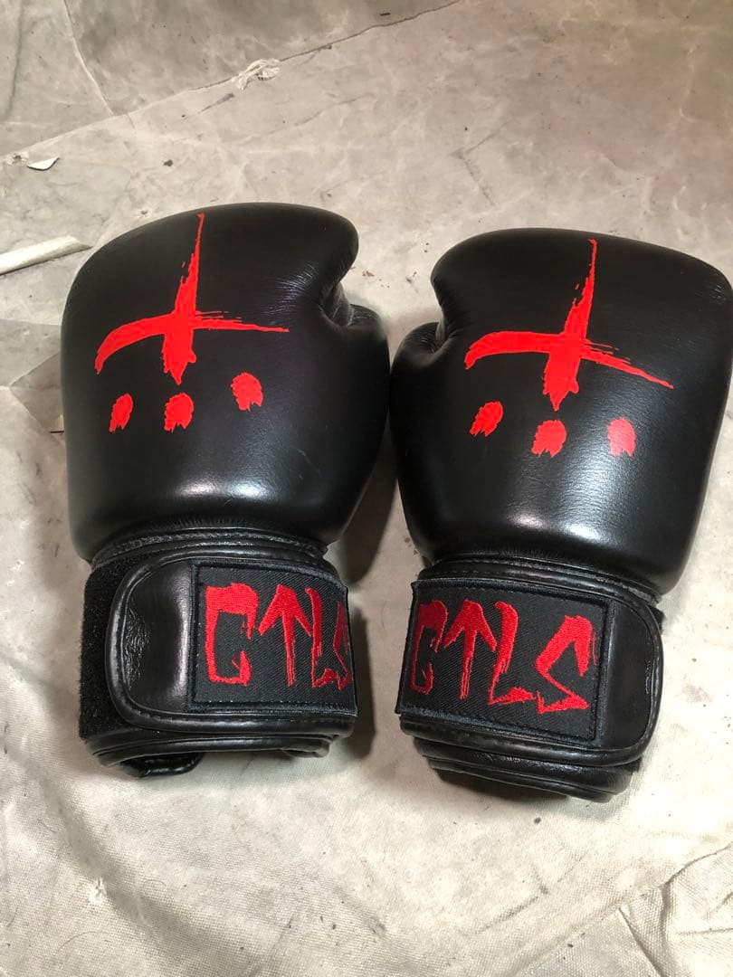 ボクシング cvtvlist boxing gloves family friends